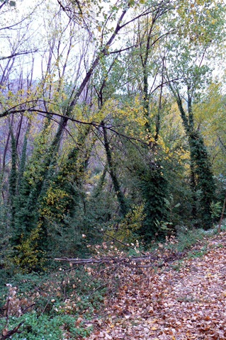 [P1260508[3].jpg]