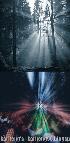 [forestclub[13].jpg]