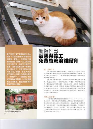 貓之生活