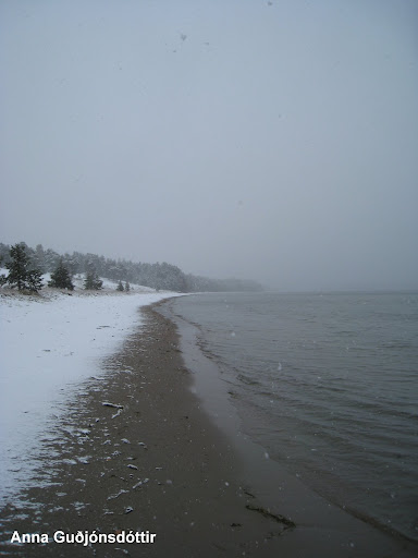 Snj&oacute;r