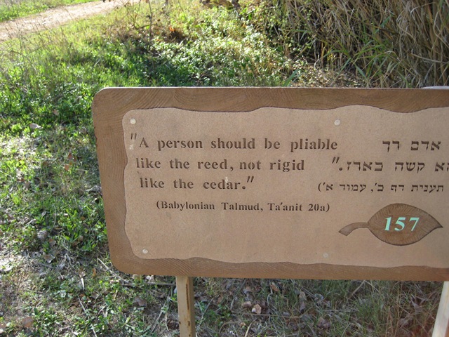 [Israel 2009 family trip for Lizi Martin wedding 227.jpg]