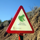VI Carrera y Marcha por montaña Serra del Coto (6-Febrero-2011)