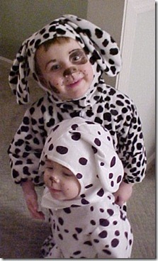Dalmations