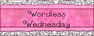 [Wordless Wednesday[4].jpg]