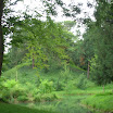 DSCN5399.jpg