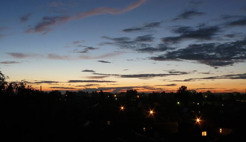 P1010492.JPG