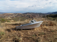 PA190680.JPG Photo