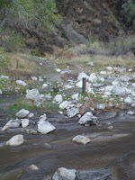 PA310724.JPG Photo
