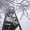 IMG_7575.jpg