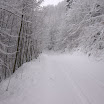 IMG_7590.jpg