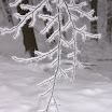 IMG_7594.jpg