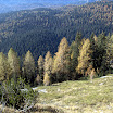 DSCF2985.jpg