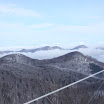 IMG_1442.JPG