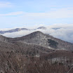 IMG_1448.JPG
