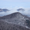 IMG_1459.JPG