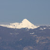 IMG_2386.jpg
