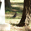 DSCF5159.JPG