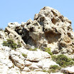 DSCF5168.JPG