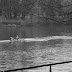 Immagine 130.jpg, Torino