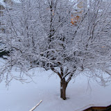 PC280073.JPG