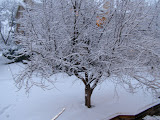 PC280073.JPG