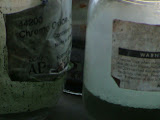 DSC00024.JPG
