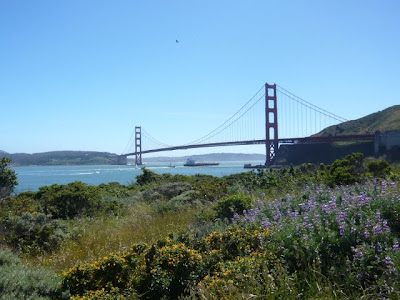 San Francisco Travel With Kids