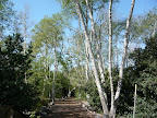 Shipley Nature Center Thumbnail