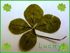 Lucky