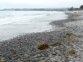 Capistrano Beach Park