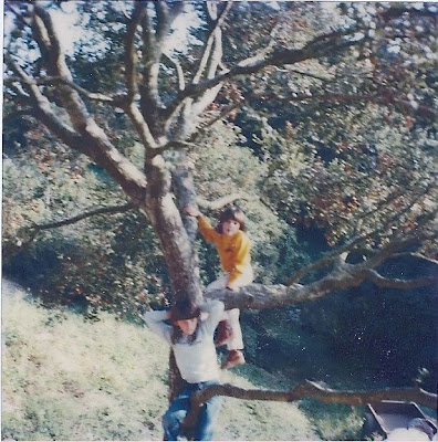 Climb Trees