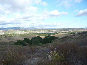 Riley Canyon