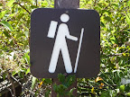 How to Spot Poison Oak Thumbnail