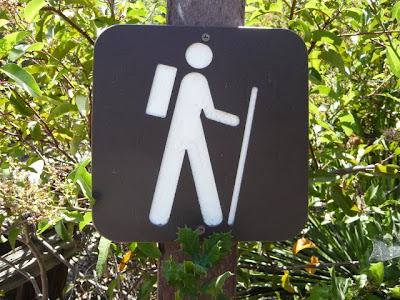 How to Spot Poison Oak