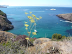 Visiting Catalina Island Thumbnail