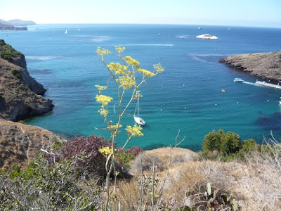 Visiting Catalina Island
