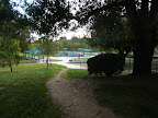 Arroyo Park Thumbnail