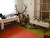 P1010174.JPG