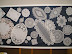 P1010176.JPG