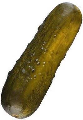 [pickle[3].jpg]