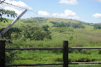 DSC02528.JPG