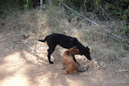 DSC02539.JPG