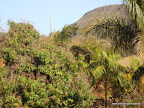 DSC07176.JPG