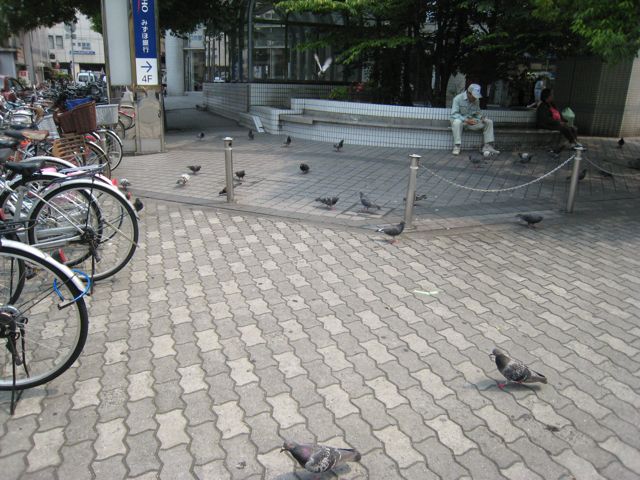 IMG_8586.jpg