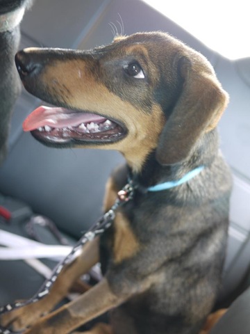 [Adoption Sara[4].jpg]