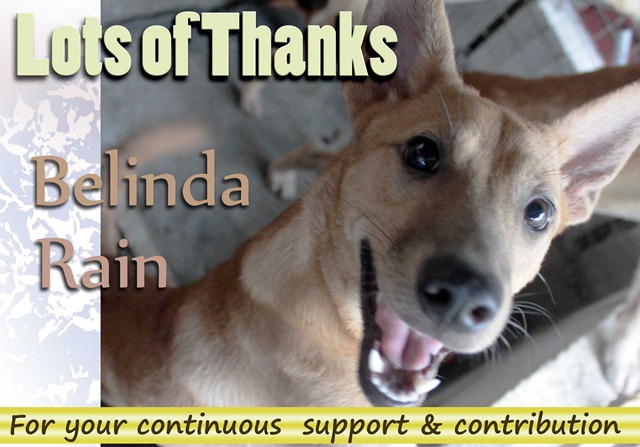 [Thank you 2[4].jpg]