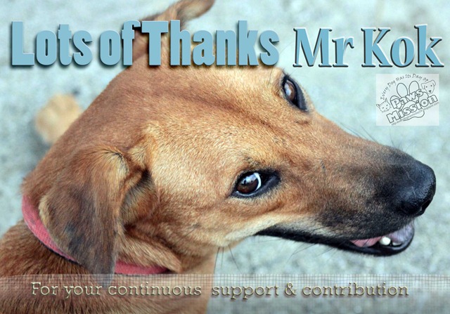 [Thank you 2[5].jpg]