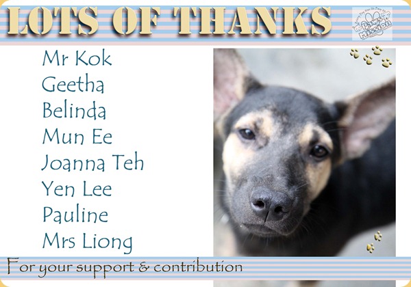 Thank you 3