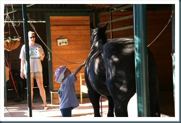 WestTrip,Week8 062 WestTrip,Week8 062