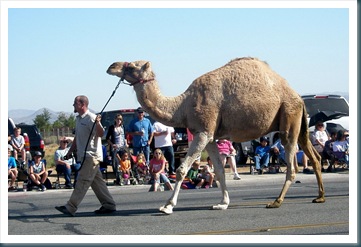 WestTrip,Week8 231 WestTrip,Week8 231